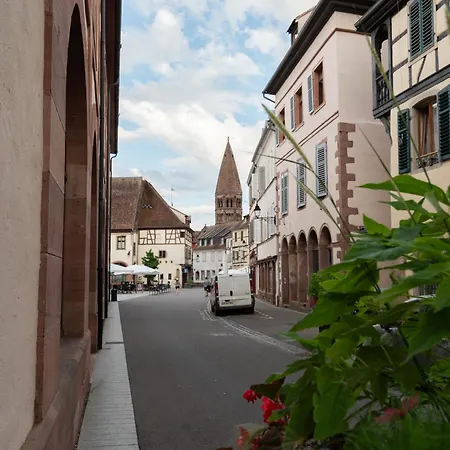 Cocon Alsacien Centre Historique