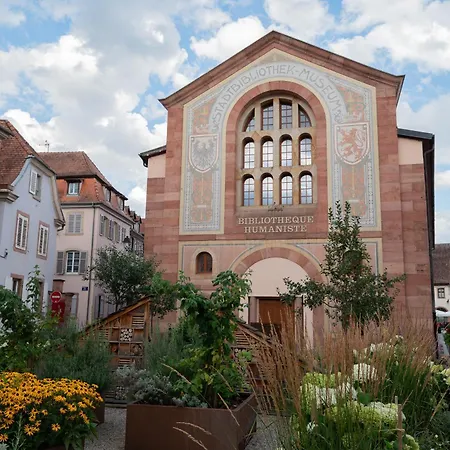 Daire Cocon Alsacien Centre Historique