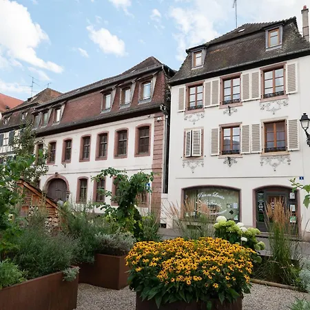 Apartamento Cocon Alsacien Centre Historique *