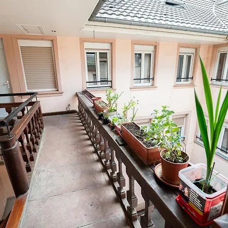 Apartamento Cocon Alsacien Centre Historique *